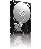 Datalux DLX-2535 Datalux 250GB 3.5'' HDD 7200rpm 8MB