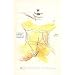 A Quinzaine in Return for a Portrait of Mary Sun (Poetry by Barry Gifford)