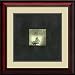 Bonsai Cave Tree Framed Art Print by Om, 18.77 in. x 18.77 in. Framed
