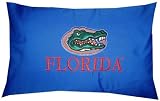 Florida Gator Travel Pillow