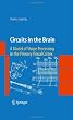 Circuits in the Brain: A Model of Shape Processing in the Primary Visual Cortex
