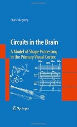 Circuits in the Brain: A Model of Shape Processing in the Primary Visual Cortex