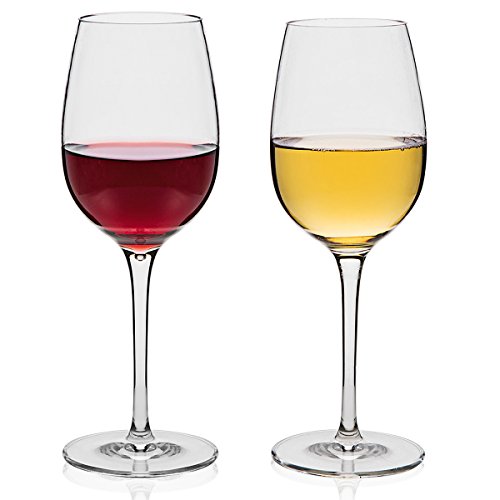MICHLEY Unbreakable Wine Glasses, 100 Tritan Shatterproof Wine Glasses, BPAfree, Dishwasher