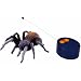 Personal Health Care : Takara Remote-Control Tarantula