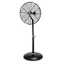 Holmes HASF1650-U 3-Speed 16-Inch Indoor/Outdoor Stand Fan