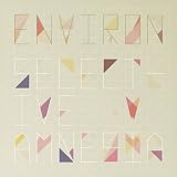 ENVIRON COMPILATION - SELECTIVE AMNESIA の評価・レビュー