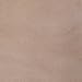 WestPoint Home Vellux Nylon Blanket Color: Tan, Size: King