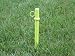 Pet Supplies : Hyper Dog Pooch Post, Mini