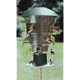 Wild Bill's 12 Station Squirrel Proof Bird Feeder