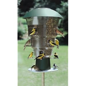 Wild Bill's 12 Station Squirrel Proof Bird Feeder by