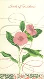 Seeds of Kindness Thank You Card (1753-9)