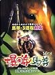 爆勝馬券 Ver.6