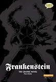 Frankenstein: Original Text (Graphic Novel)