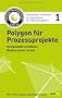 Polygon f�r Prozessprojekte: Komplexit�t ermitteln, Risiken beherrschen