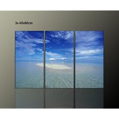 DIE OASE - tropische Tr�ume - 3 teilig Leinwandbild (tropical oasis 3x40x80cm) mehrteilige Wand deko f�r Ihre Wohnung Bilder zum Tr�umen moderne Bilder fertig gerahmt auf Keilrahmen xxl. Kunstdruck auf Leinwand inkl Rahmung, Preiswert G�nstiger als Poster