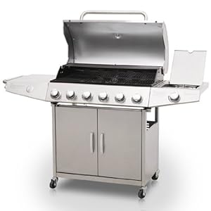 barbecue gaz kaduva inox