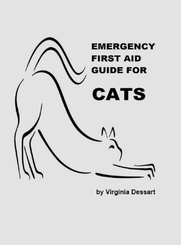 Emergency First Aid Guide For Cats