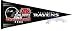 Baltimore Ravens 2006 AFC North Division Champ Pennant