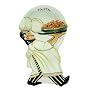 Buon Appetito Spoon Rest