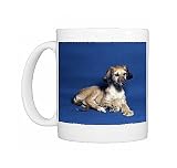dog-afghan hound Photo Mugs