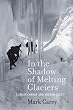 Image of In the Shadow of Melting Glaciers: Climate Change and Andean Society