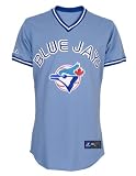 Toronto Blue Jays Youth 2010 Alternate Blue MLB Replica Jersey