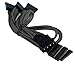 BattleBorn CB-M5SATA-Black Molex to 5 x SATA Cable