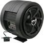 Boss Audio BASS800 10-Inch Amplified Subwoofer with Passive Radiator - Single (Black)