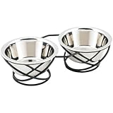 Buddy's Line Spring Style Double Diner Pet Bowl, Black Iron Base, 24 ounces