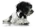 Platinum Pets Formal Pet Bow Tie and Collar, 9 to 10-Inch, White