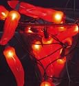 20er Lichterkette rote Peperoni innen 3,6m Näve