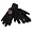 Arizona Cardinals