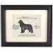 Ballard Designs - Newfoundland Black Dog Print