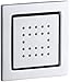 KOHLER K-8003-CP WaterTile 22-Nozzle Bodyspray, Polished Chrome