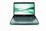 Toshiba Satellite A355-S6935 16.0-Inch Laptop (Intel Core 2 Duo T6400 Processor, 4 GB RAM, 400 GB Hard Drive, DVD SuperMulti Drive, Vista Premium)
