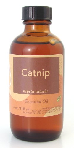 Organic Fusion Essential Oil, Catnip, 4-Ounce Bottle