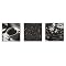 Café Culture Box Art 3-pc. Set