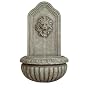 Arden Lion Wall Fountain