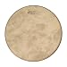 Remo Banjo Head, 12", High Collar Fibers