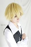 Durarara Shizuo Heiwajima Short Party Costume Cosplay Wigs