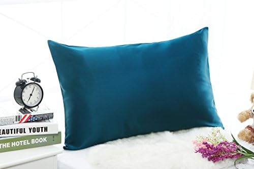 19mm 100% Premium Luxury Pure Mulberry Silk Pillowcase with Cotton Underside for Hair &amp; Facial Beauty Queen/Standard Size 20x30Inch Shams with Hidden Zipper Royal Blue Color ,1pc,19Momme