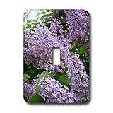 Flowers - Lilac - Light Switch Covers - single toggle switch