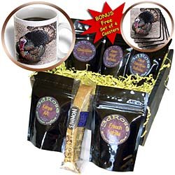 Jackie Popp Nature N Wildlife birds - wild turkey - Coffee Gift Baskets - Coffee Gift Basket