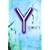 Y (�n���L����)