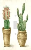 Decorative: Potted Cactus Decorative Switchplate Cover
