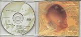 PALE SAINTS - HALF LIFE - CD (not vinyl)