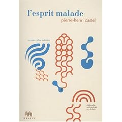 L'Esprit malade. Cerveaux, folies, individus