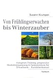 Von Fr&uuml;hlingserwachen bis Winterzauber: Autogenes Training, progressive Muskelentspannung & Fantasiereisen f&uuml;r Erwachsene -  Kursleitermanual - Susann Krumpen