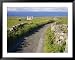 Country Road, Inishmore, Aran Islands, County Galway, Connacht, Republic of Ireland (...