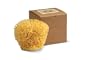 Wool Sponge Gift Box, 4 and1/2 Inches